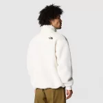 THE NORTH FACE - M PLATTE HIGH PILE FLEECE 1/4 ZIP