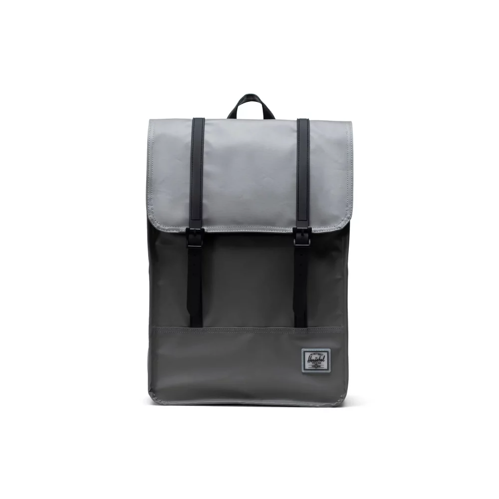 HERSCHEL - SURVEY II