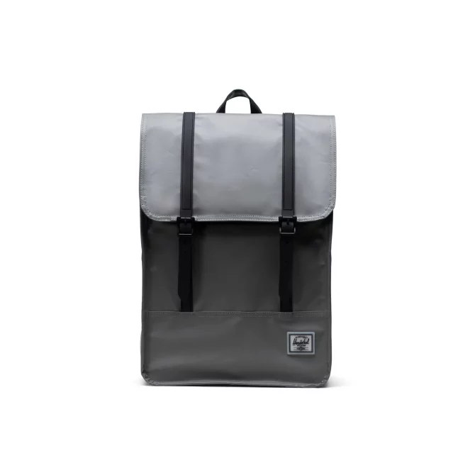 HERSCHEL - SURVEY II