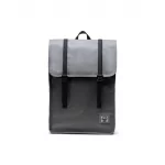 HERSCHEL - SURVEY II