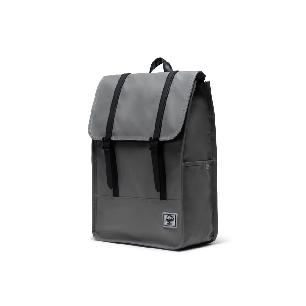 HERSCHEL - SURVEY II