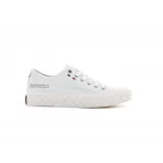 PALLADIUM - PALLA ACE CANVAS