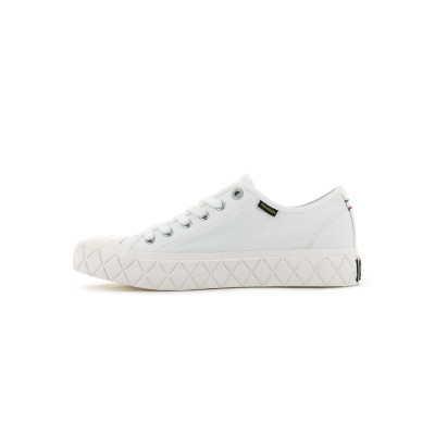 PALLADIUM - PALLA ACE CANVAS