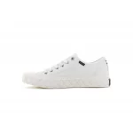 PALLADIUM - PALLA ACE CANVAS