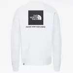 THE NORTH FACE - M RAGLAN REDBOX CREW NEW