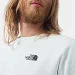 THE NORTH FACE - M RAGLAN REDBOX CREW NEW