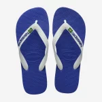 HAVAIANAS - BRASIL LOGO