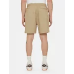 DICKIES - PELICAN RAPIDS