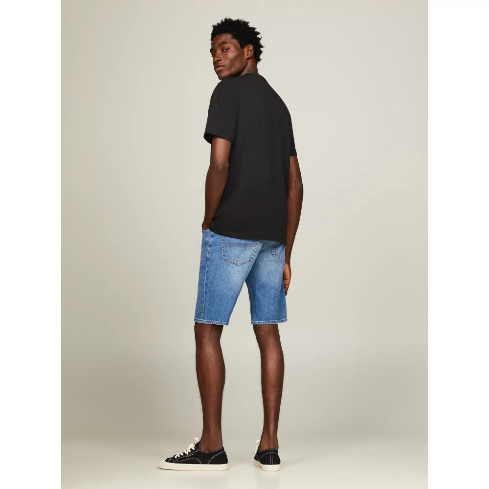 TOMMY HILFIGER - TJM REG BADGE TEE EX