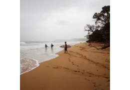 DECOUVREZ LA COLLECTION SALTY CREW CHEZ NEXT SHOWROOM